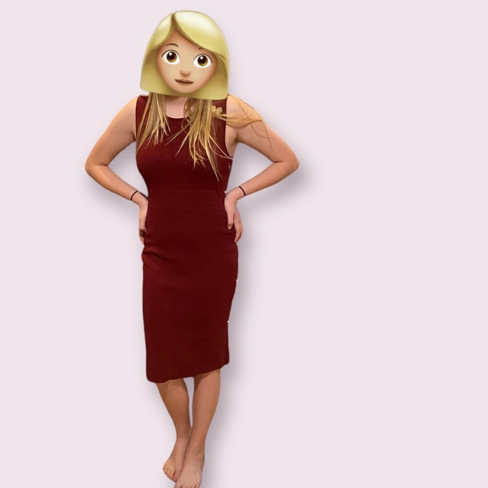 New York and company dress